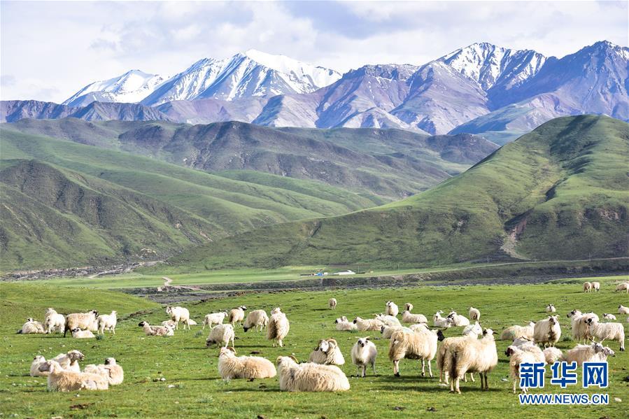 （迎接兩會(huì)）（1）共建生態(tài)文明 共享美麗家園