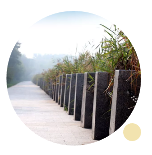 1557892154869985.png image.png