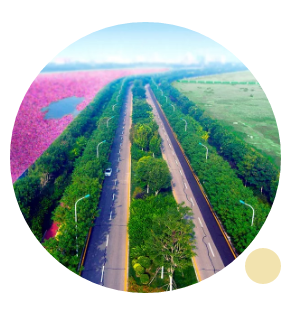 1557892114418113.png image.png