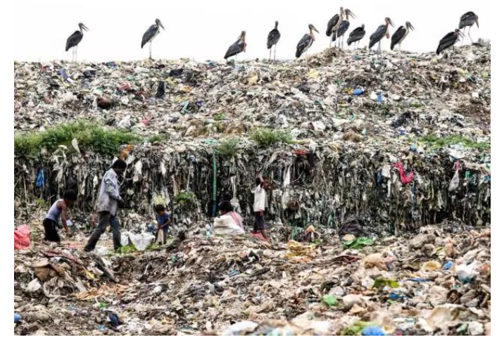 1560132448173376.png 1560132448173376.png