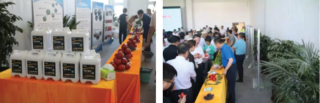 1560388651905119.png image.png